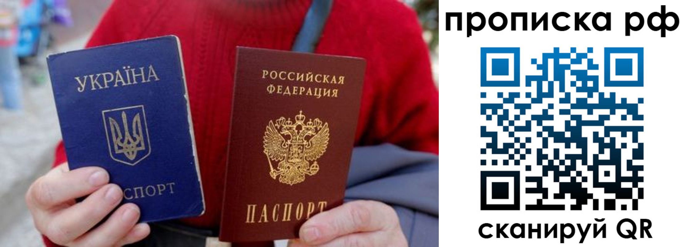 где прописаться в Сафоново