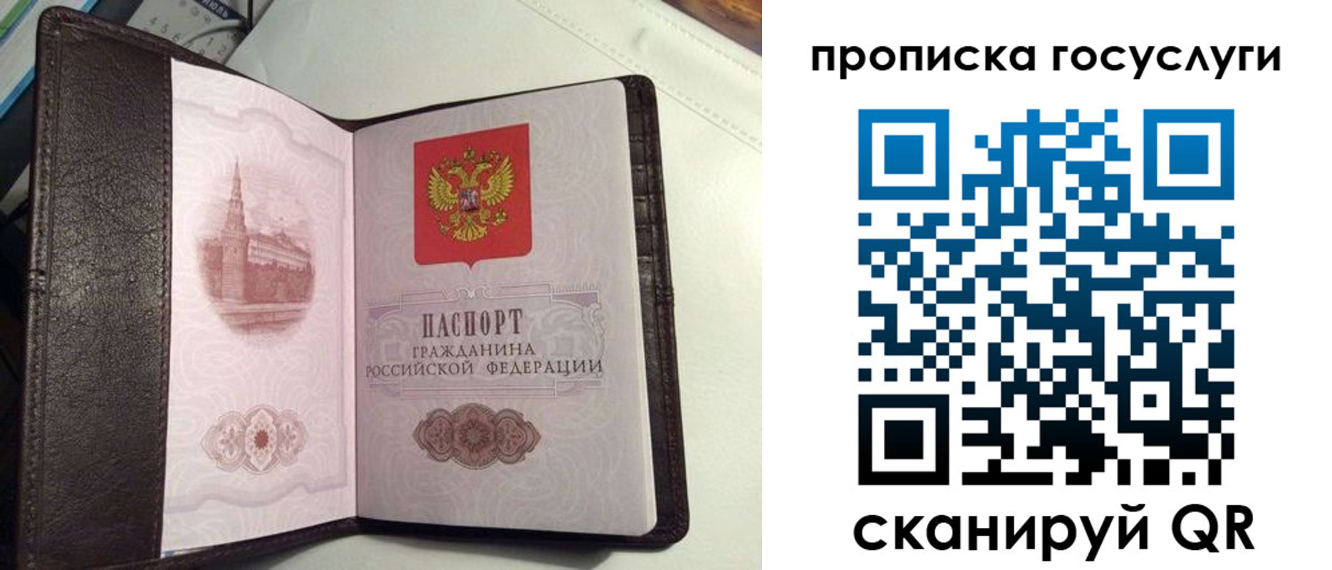 временная прописка в Сафоново